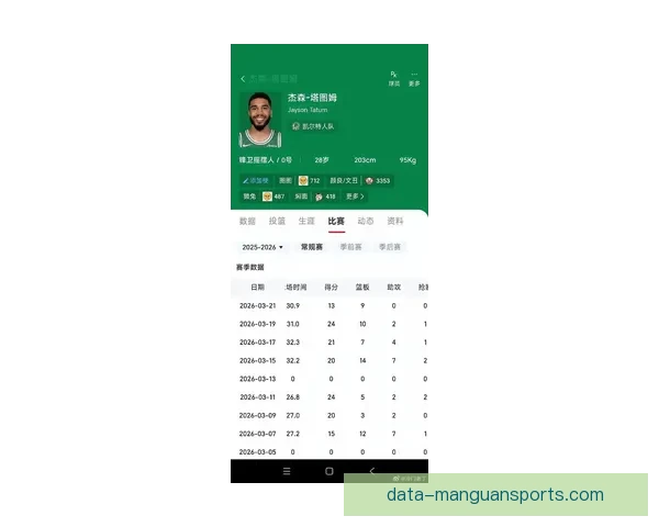 塔图姆季后赛关键球表现引发争议球迷热议